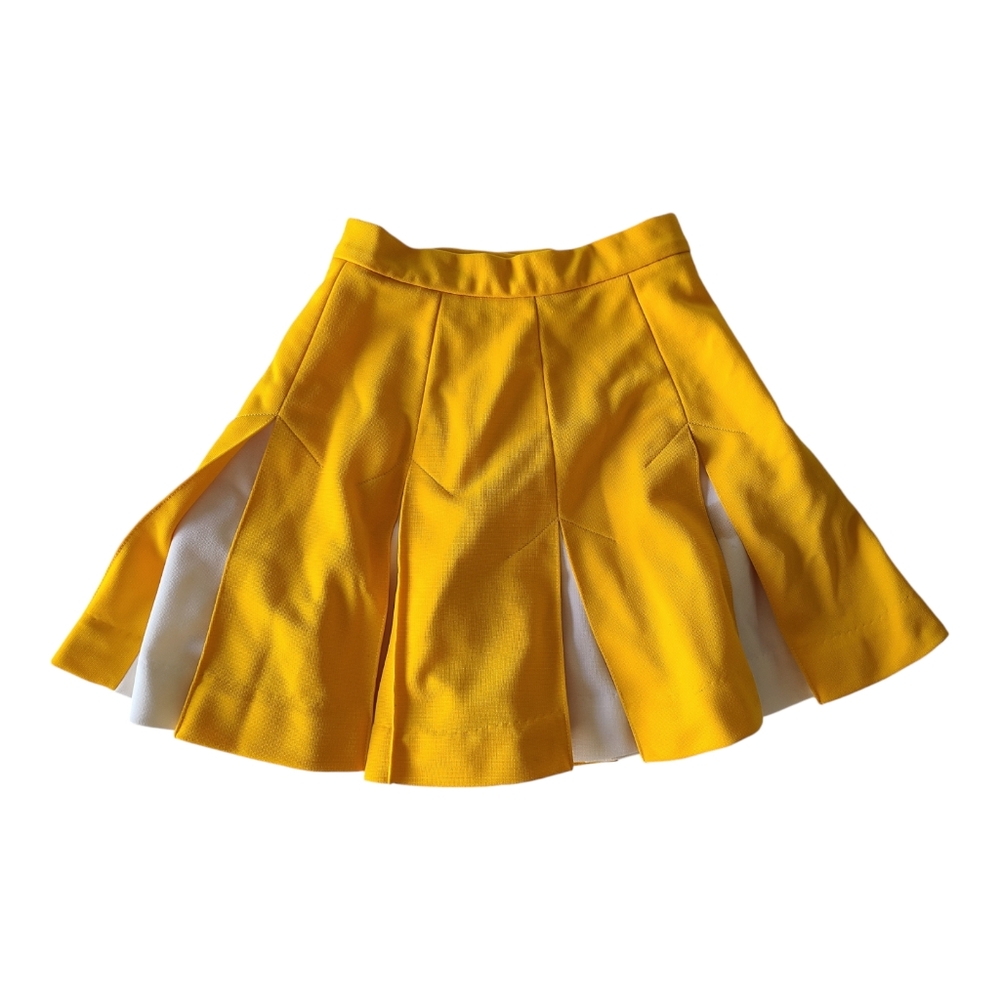 Vintage Cheerleading Skirt